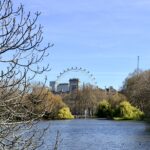 Warsztaty językowe w Londynie – nauka, która wychodzi poza klasę